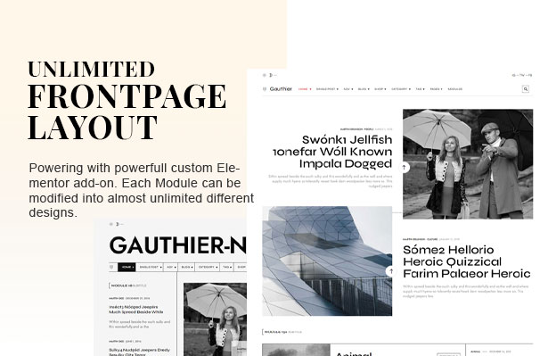 Gauthier – Multipurpose Blog, Magazine and Newspaper Theme - 3